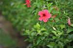 13102019_Lingnan Garden Snapshots00004