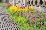 13102019_Lingnan Garden Snapshots00008