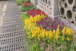 13102019_Lingnan Garden Snapshots00009