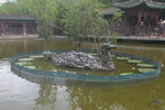 13102019_Lingnan Garden Snapshots00019
