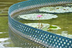 13102019_Lingnan Garden Snapshots00021