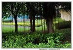 13102019_Lingnan Garden Snapshots00023
