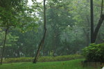 20072019_Lingnan Garden Snapshots00014