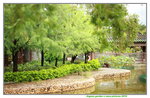 20072019_Lingnan Garden Snapshots00022