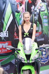 06112016_Hong Kong Motorcycles Show_Kawasaki Image Girls00001