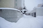 11022020_Nikon D5300_22nd round to Hokkaido_Day Six_A Snowy Sapporo Morning00032