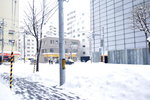 11022020_Nikon D5300_22nd round to Hokkaido_Day Six_A Snowy Sapporo Morning00034