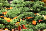 21072011_南蓮園池_圓滿塔00001