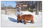 NN15022019_Nikon D5300_20 Round to Hokkaido_Momin Mini Pony Makiba00004