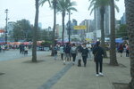 05022024_Victoria Park Lunar New Year Flower Fair_The Venue00002