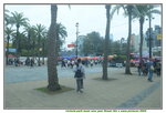 05022024_Victoria Park Lunar New Year Flower Fair_The Venue00003