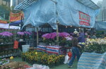 05022024_Victoria Park Lunar New Year Flower Fair_The Venue00005