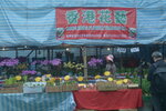 05022024_Victoria Park Lunar New Year Flower Fair_The Venue00008
