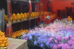 05022024_Victoria Park Lunar New Year Flower Fair_The Venue00009