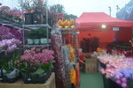 05022024_Victoria Park Lunar New Year Flower Fair_The Venue00010