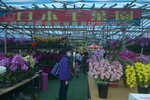 05022024_Victoria Park Lunar New Year Flower Fair_The Venue00015