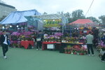 05022024_Victoria Park Lunar New Year Flower Fair_The Venue00016