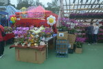 05022024_Victoria Park Lunar New Year Flower Fair_The Venue00022