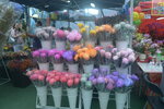 05022024_Victoria Park Lunar New Year Flower Fair_The Venue00023