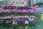 05022024_Victoria Park Lunar New Year Flower Fair_The Venue00024