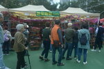 05022024_Victoria Park Lunar New Year Flower Fair_The Venue00025