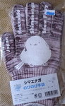 15022025_Samsung Galaxy Note20 Ultra_2025 Feb_29th round to Hokkaido_Souvenirs00047