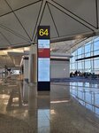09022025_Samsung Galaxy Note20 Ultra_29th round to Hokkaido_HK International Airport00022