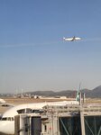 09022025_Samsung Galaxy Note20 Ultra_29th round to Hokkaido_HK International Airport00041
