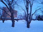 11022025_Samsung Galaxy Note20 Ultra_29th round to Hokkaido_Tokachi Makubetsu Grandvrio Onsen Hotel Morning00019