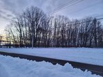 11022025_Samsung Galaxy Note20 Ultra_29th round to Hokkaido_Tokachi Makubetsu Grandvrio Onsen Hotel Morning00030