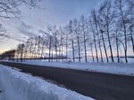 11022025_Samsung Galaxy Note20 Ultra_29th round to Hokkaido_Tokachi Makubetsu Grandvrio Onsen Hotel Morning00039