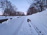 11022025_Samsung Galaxy Note20 Ultra_29th round to Hokkaido_Tokachi Makubetsu Grandvrio Onsen Hotel Morning00040