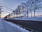 11022025_Samsung Galaxy Note20 Ultra_29th round to Hokkaido_Tokachi Makubetsu Grandvrio Onsen Hotel Morning00041