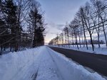 11022025_Samsung Galaxy Note20 Ultra_29th round to Hokkaido_Tokachi Makubetsu Grandvrio Onsen Hotel Morning00042