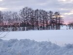 11022025_Samsung Galaxy Note20 Ultra_29th round to Hokkaido_Tokachi Makubetsu Grandvrio Onsen Hotel Morning00043