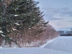 11022025_Samsung Galaxy Note20 Ultra_29th round to Hokkaido_Tokachi Makubetsu Grandvrio Onsen Hotel Morning00050
