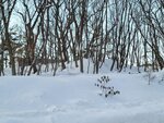 12022025_Samsung Galaxy Note20 Ultra_29th round to Hokkaido_Shari-gun Shiretoko Museum00007