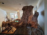 12022025_Samsung Galaxy Note20 Ultra_29th round to Hokkaido_Shari-gun Shiretoko Museum00053