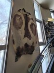 12022025_Samsung Galaxy Note20 Ultra_29th round to Hokkaido_Shari-gun Shiretoko Museum00069