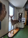 12022025_Samsung Galaxy Note20 Ultra_29th round to Hokkaido_Shari-gun Shiretoko Museum00071