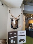 12022025_Samsung Galaxy Note20 Ultra_29th round to Hokkaido_Shari-gun Shiretoko Museum00073