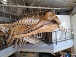 12022025_Samsung Galaxy Note20 Ultra_29th round to Hokkaido_Shari-gun Shiretoko Museum00074