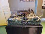 12022025_Samsung Galaxy Note20 Ultra_29th round to Hokkaido_Shari-gun Shiretoko Museum00076
