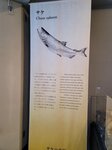12022025_Samsung Galaxy Note20 Ultra_29th round to Hokkaido_Shari-gun Shiretoko Museum00077