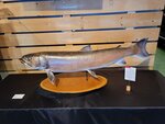 12022025_Samsung Galaxy Note20 Ultra_29th round to Hokkaido_Shari-gun Shiretoko Museum00079
