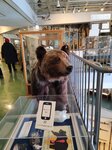 12022025_Samsung Galaxy Note20 Ultra_29th round to Hokkaido_Shari-gun Shiretoko Museum00080