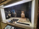 12022025_Samsung Galaxy Note20 Ultra_29th round to Hokkaido_Shari-gun Shiretoko Museum00088