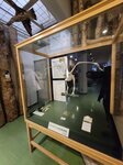 12022025_Samsung Galaxy Note20 Ultra_29th round to Hokkaido_Shari-gun Shiretoko Museum00092