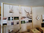 12022025_Samsung Galaxy Note20 Ultra_29th round to Hokkaido_Shari-gun Shiretoko Museum00097