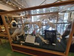 12022025_Samsung Galaxy Note20 Ultra_29th round to Hokkaido_Shari-gun Shiretoko Museum00098